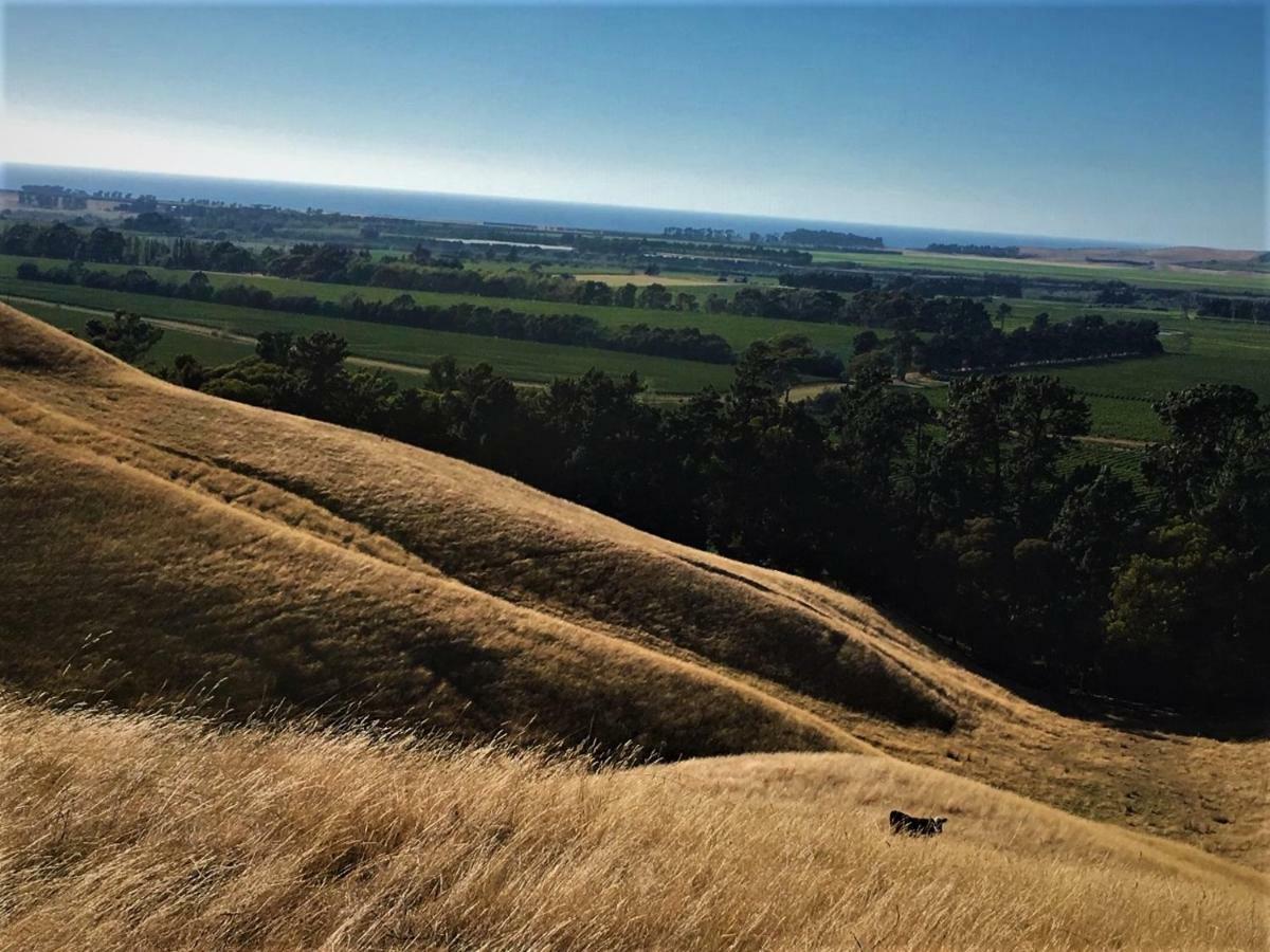Hill Top Retreat Lower Dashwood Екстериор снимка